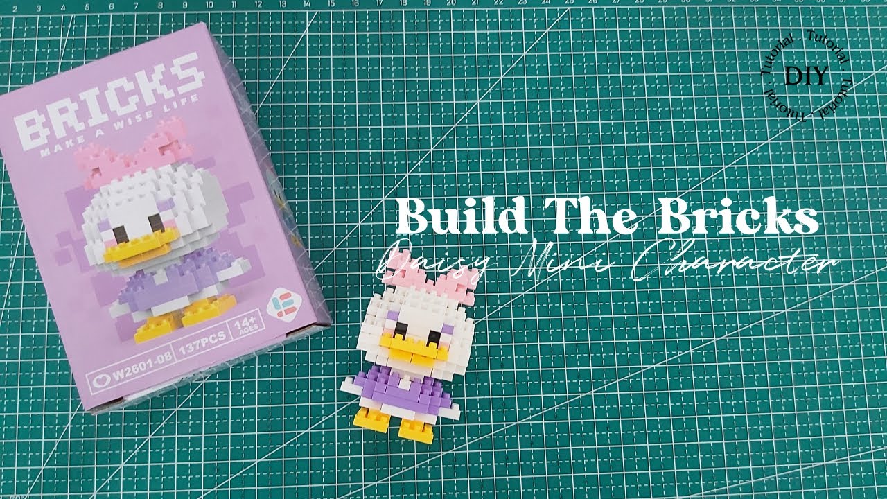 Unboxing and Building Process Mini Bricks Character Daisy | Lego Character