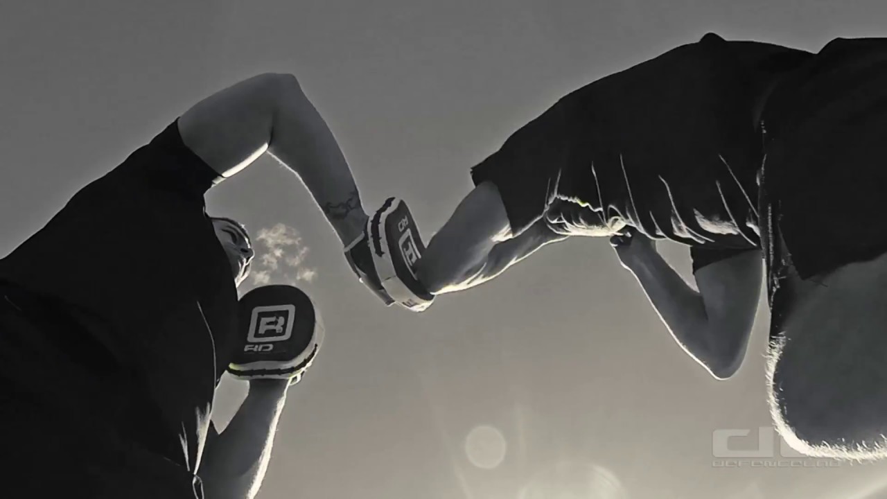 Reality Based Self Defence Video 1 - DL Style