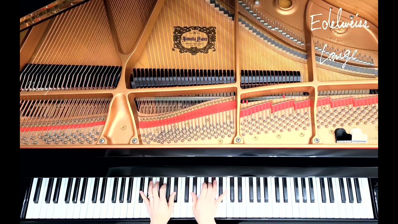 エーデルワイス : ランゲ作曲/Edelweiss Op.31 : Lange