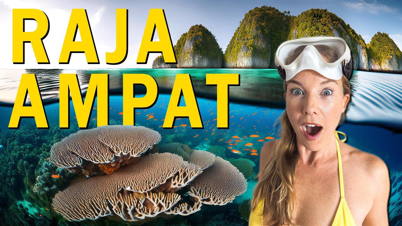 Дайвинг на ЛУЧШИХ коралловых рифах Раджа-Ампат! (НО...)