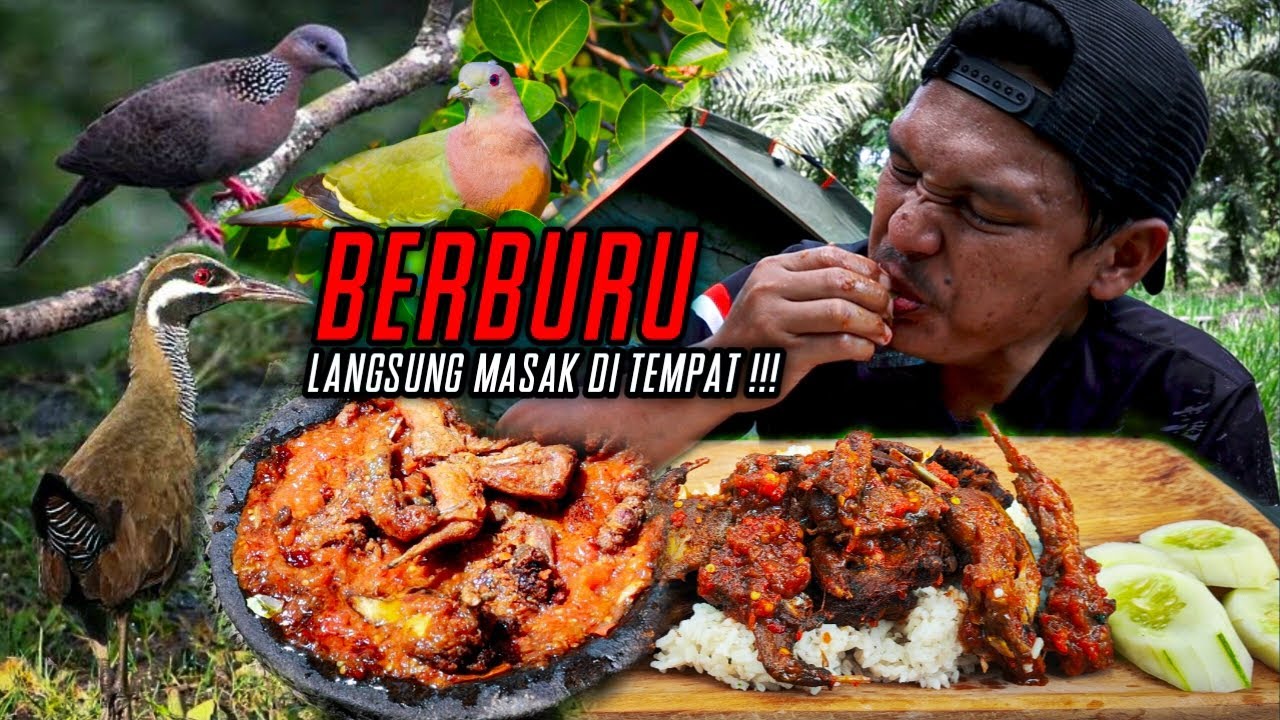 PEDAS POLL‼️BURUNG GEPREK SAMBAL LALAPAN‼️BERBURU PUNAI, RUAK WERIS DAN TEKUKUR‼️BERBURU DAN MUKBANG