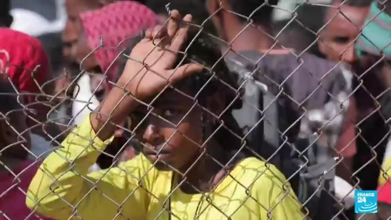 Tigray rebels gain more ground, vow to drive out 'enemies' &bull; FRANCE 24 English