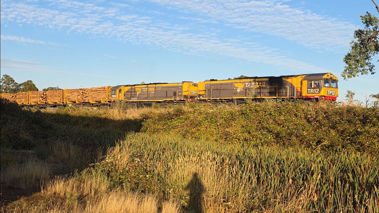 TasRail TR12 TR15 #34 train passing through Rocherlea