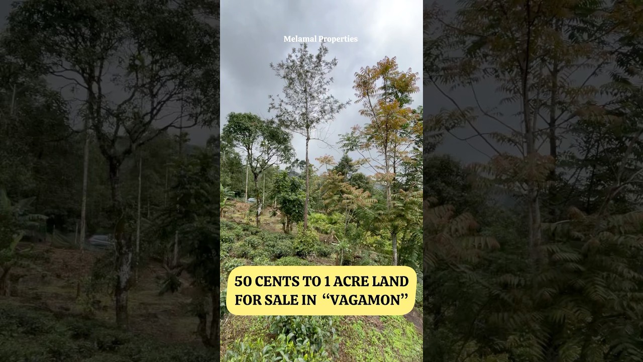 50 CENTS TO 1 ACRE LAND FOR SALE IN VAGAMON. #vagamon #landforsale #propertyforsale #idukki