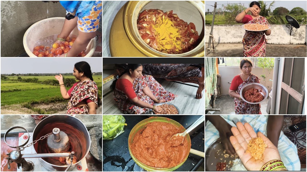 మూడు కేజీల టమాటా పచ్చడి😋కొలతలతో స్పష్టంగా అర్థం అయ్యేలా 🍅 ఈ పచ్చడి పెట్టడానికి ఇన్ని రోజులు పట్టింది