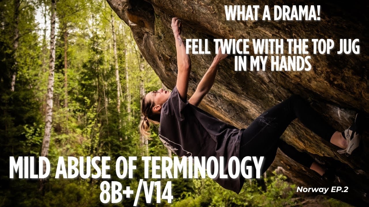 Jane Svecova on Mild abuse of Terminology 8B+/V14