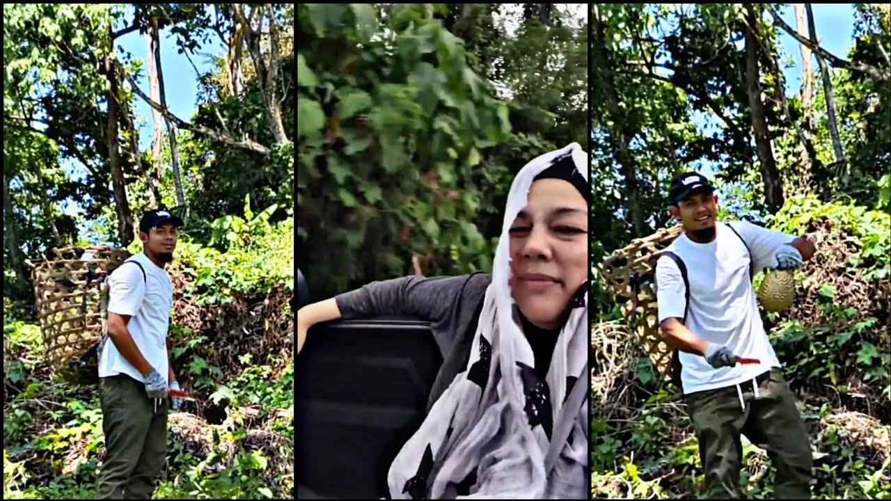 Nabil Ahmad & Shiera || Ke Kebun Mengutip Hasil Durian