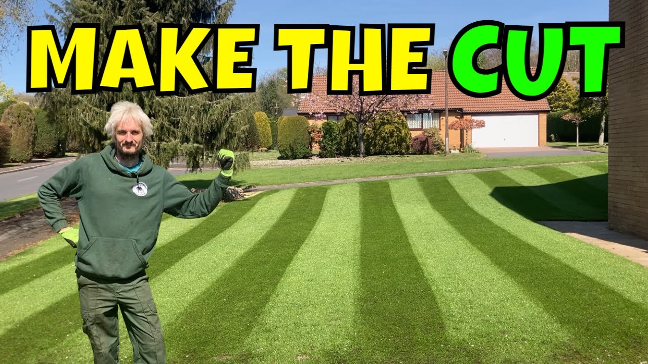 Cutting NEW GRASS for the  FIRST Time // First cut is the deepest