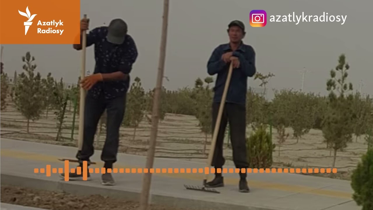 Bag ekişine ta&yacute;&yacute;arlygyň &ccedil;&auml;ginde k&ouml;p&ccedil;&uuml;likle&yacute;in &yacute;owar ge&ccedil;iril&yacute;&auml;r