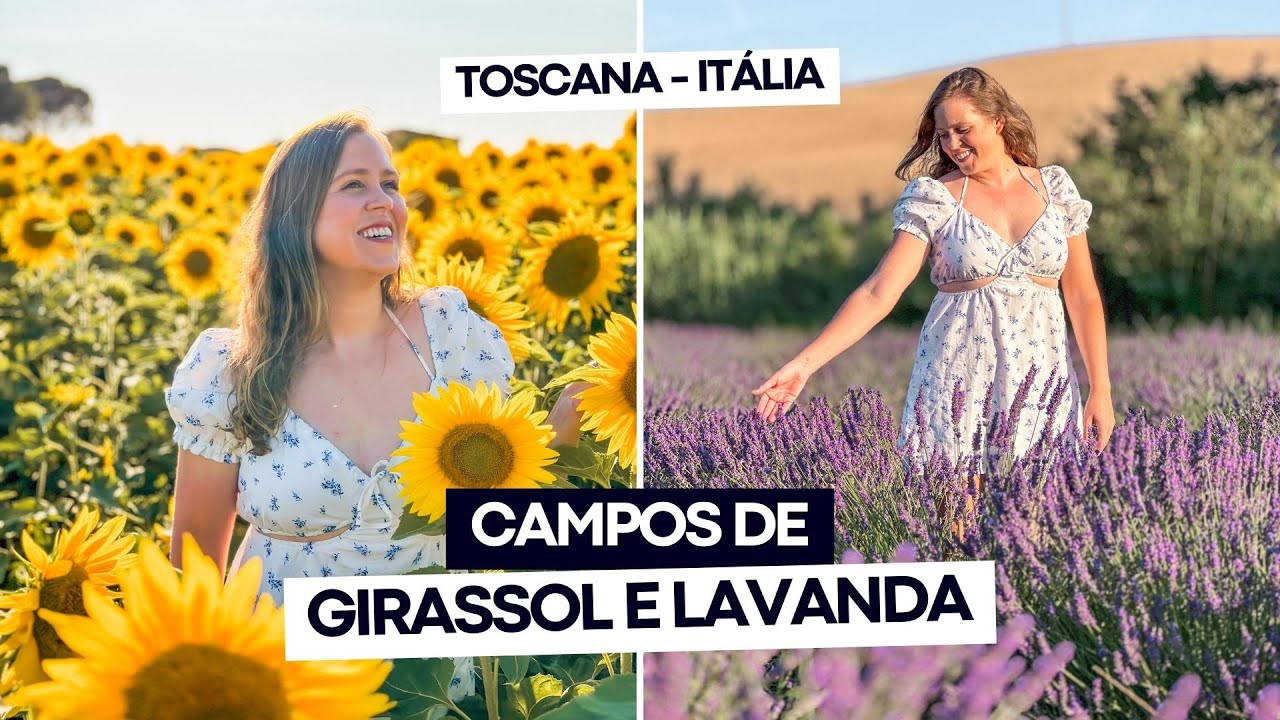 Visitando CAMPOS DE GIRASSÓIS E LAVANDA na Toscana na Itália