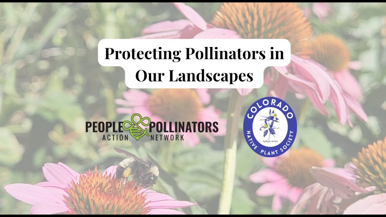 CONPS: Protecting Pollinators in Our Landscapes