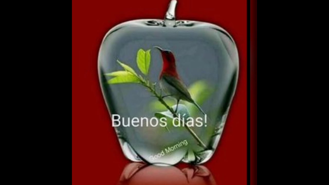EL VIDEO DE BUENOS DÍAS MÁS BONITO DEL MUNDO 🌏
