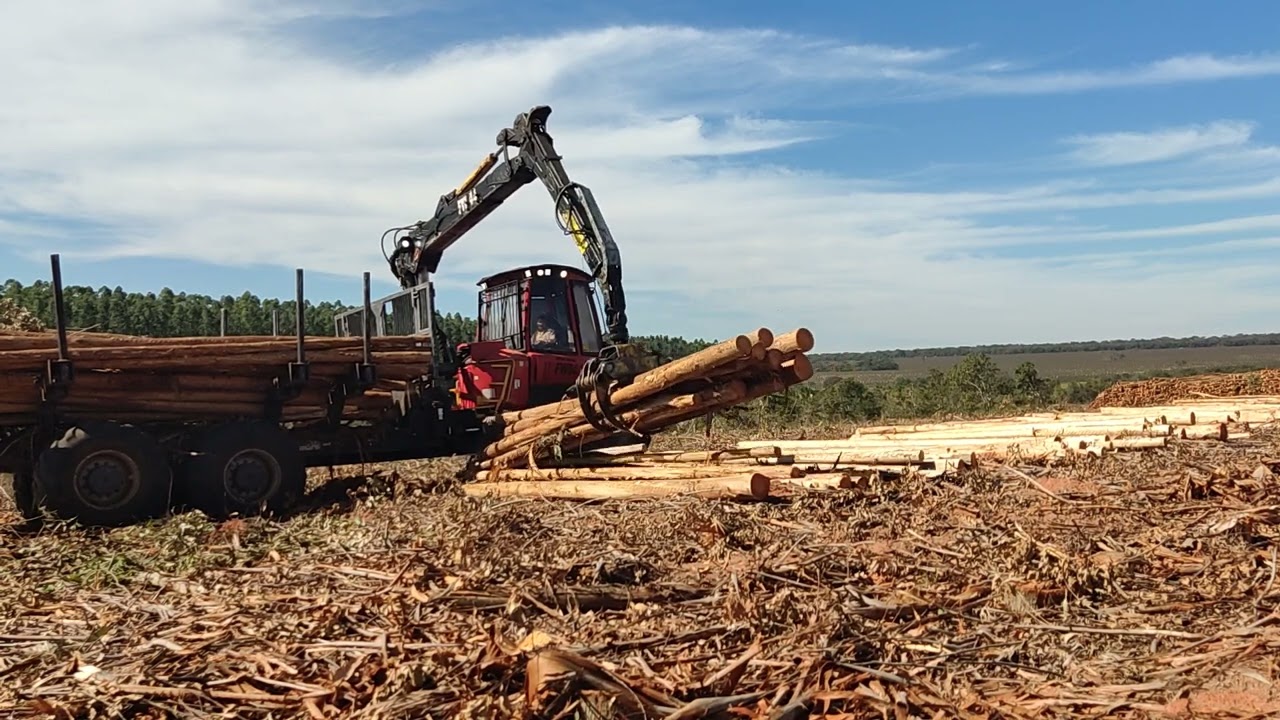 Técnica Perfeita para Retirar o Lixo, máquinas, Forwarder.