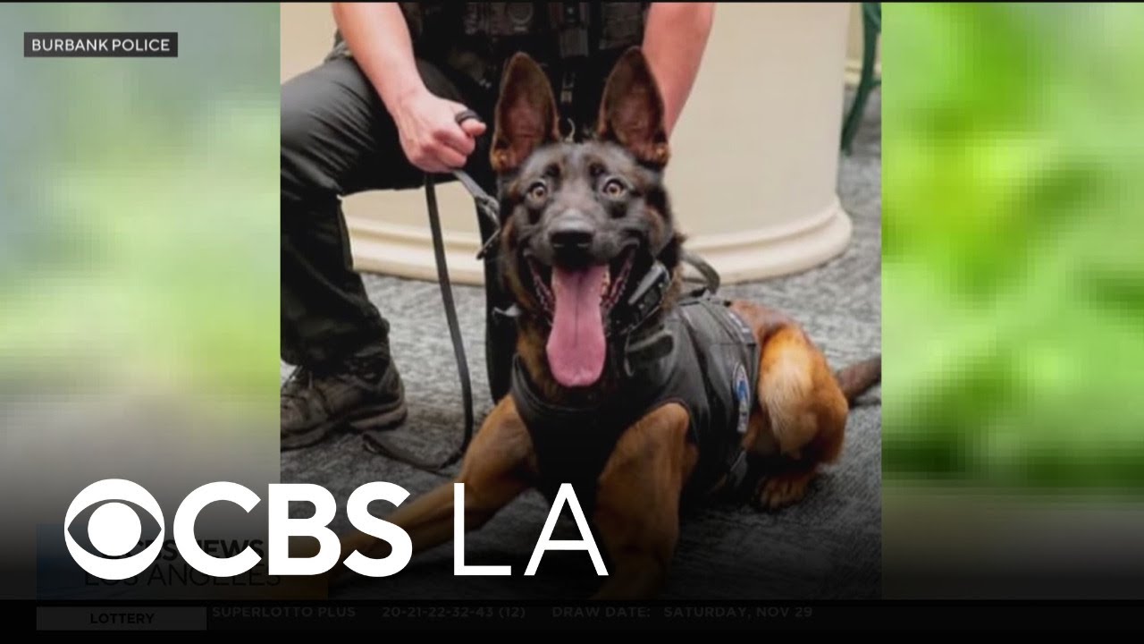 Burbank police K9 Spike honored with emotional memorial