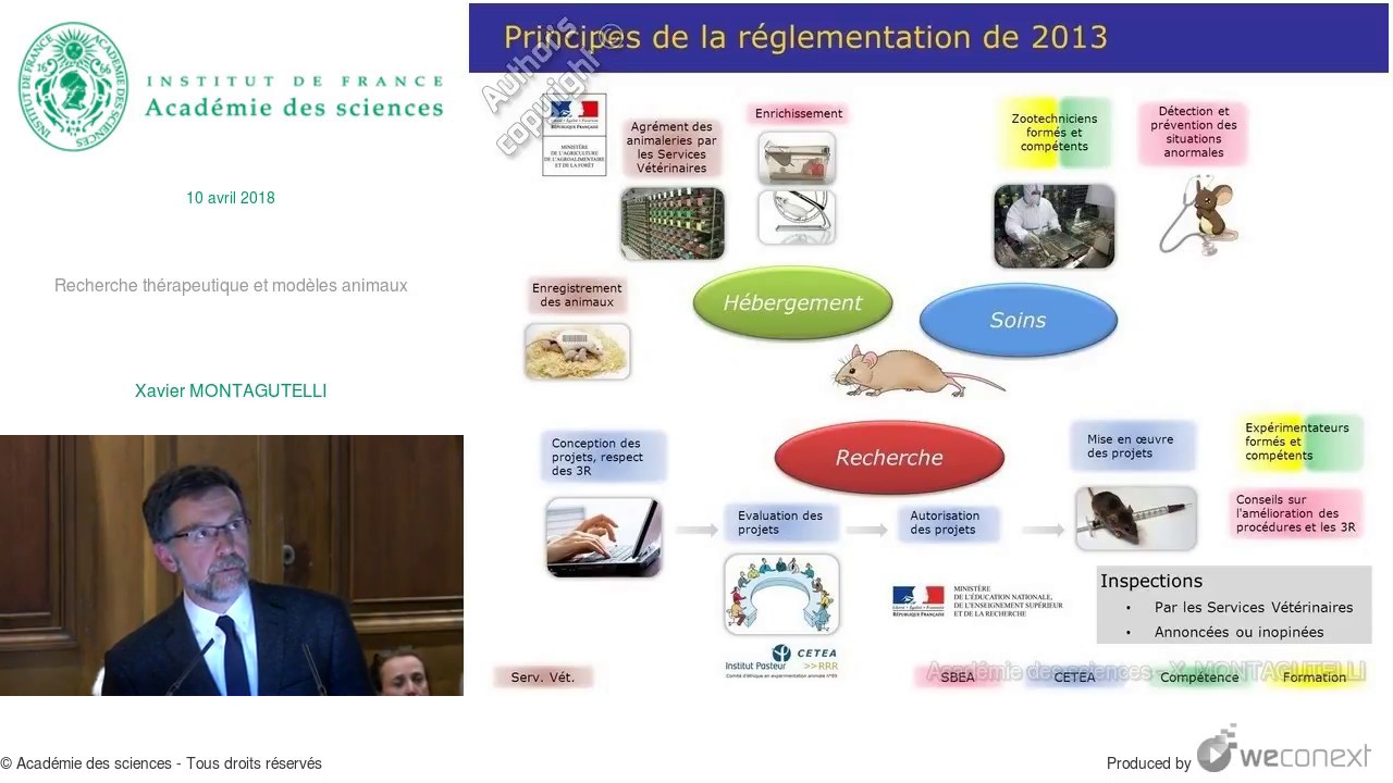 Recherche thérapeutique et modèles animaux Xavier MONTAGUTELLI
