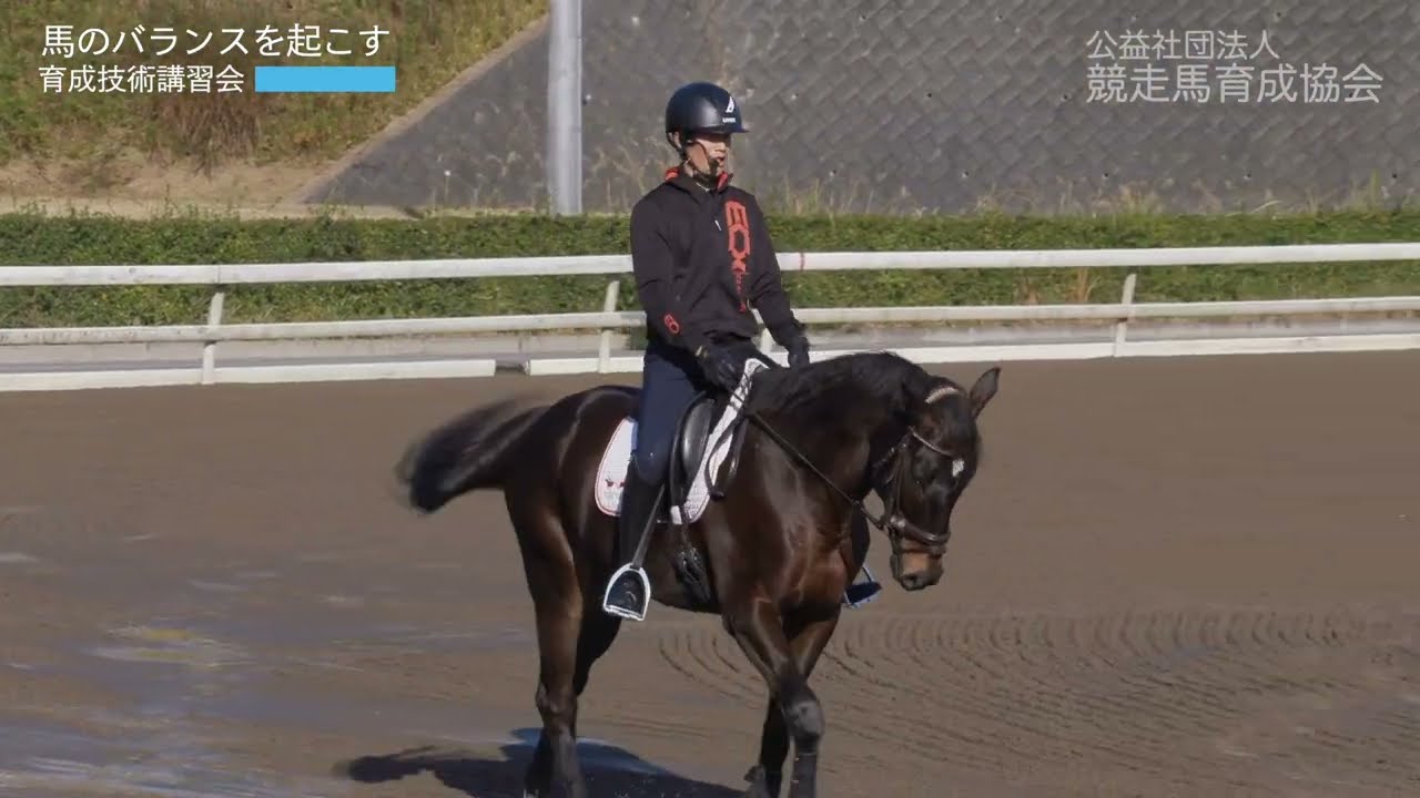 実馬を用いた馬術講習会　「馬のバランスを起こす」