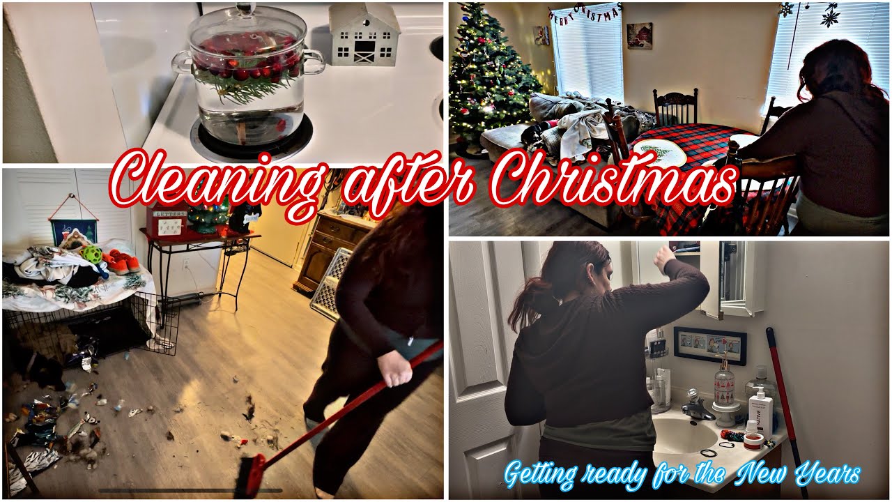 Cleaning After Christmas ☃️🌲