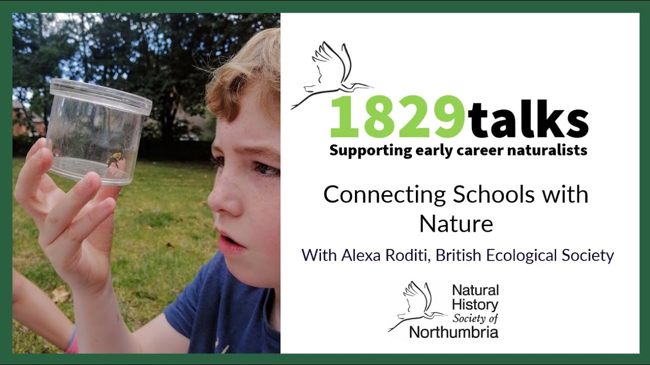Connecting Schools With Nature