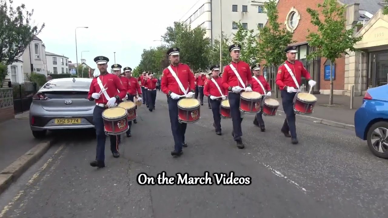 Crimson Star Comber @ RBP1104 Centenary parade 2022