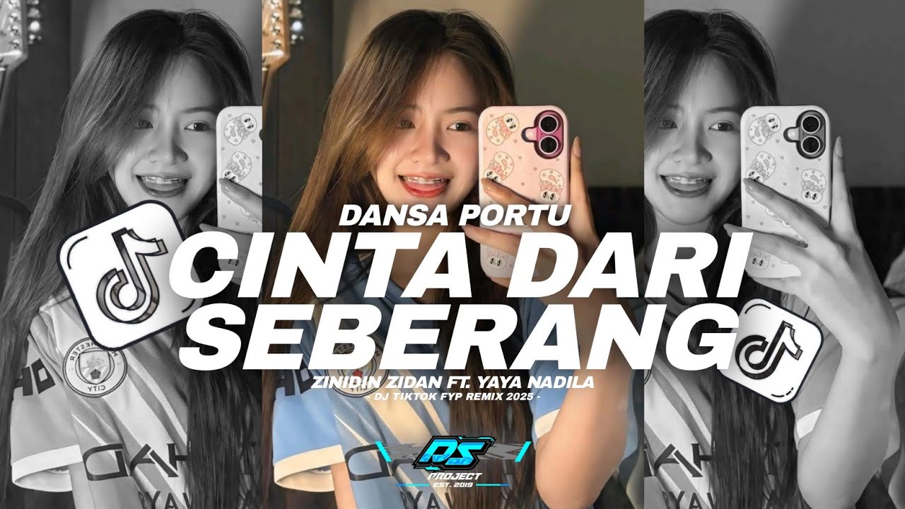 DJ CINTA DARI SEBERANG DANSA PORTU REMIX VIRAL FYP TRENDING 2025