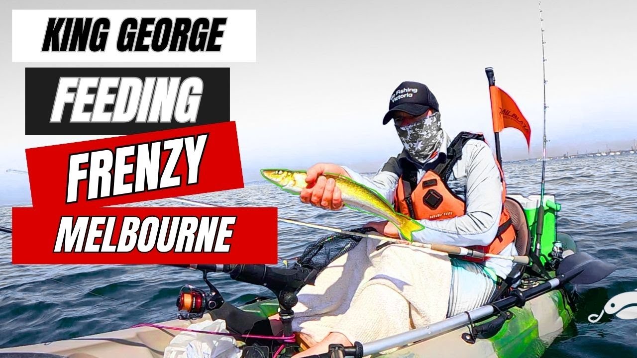Kayak Fishing A Famous Melbourne Waterway? - Fishing Feeding Frenzy