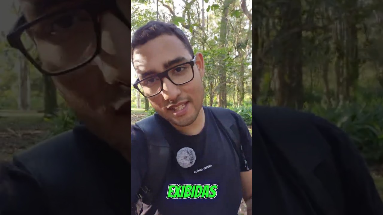 Minha experi&ecirc;ncia em criar conte&uacute;do para a internet at&eacute; o momento✍️📱#Conte&uacute;do #Internet #Experi&ecirc;ncia