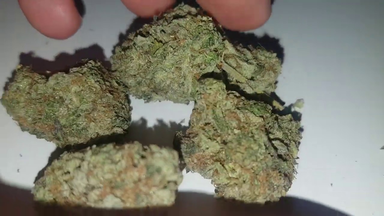 STRAIN REVIEW 014: rock tuna AA - budgetgreens