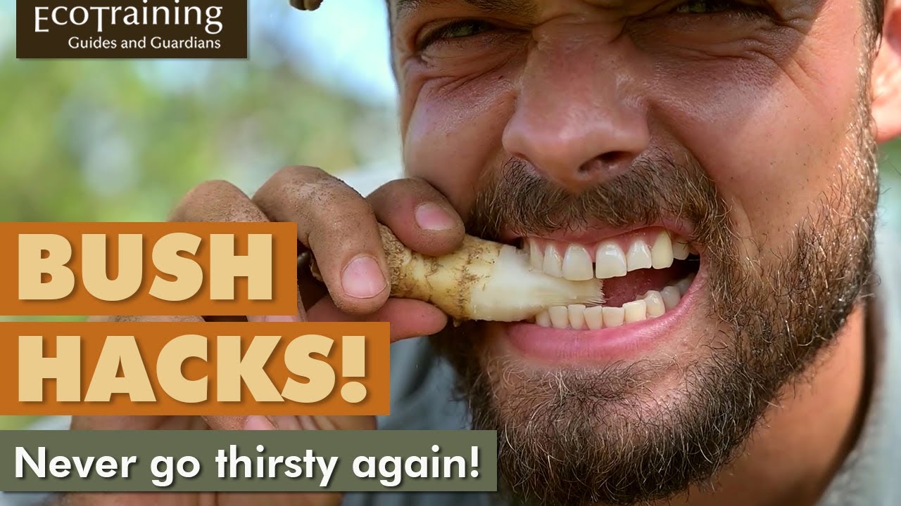 Bush Hacks | Never go thirsty again
