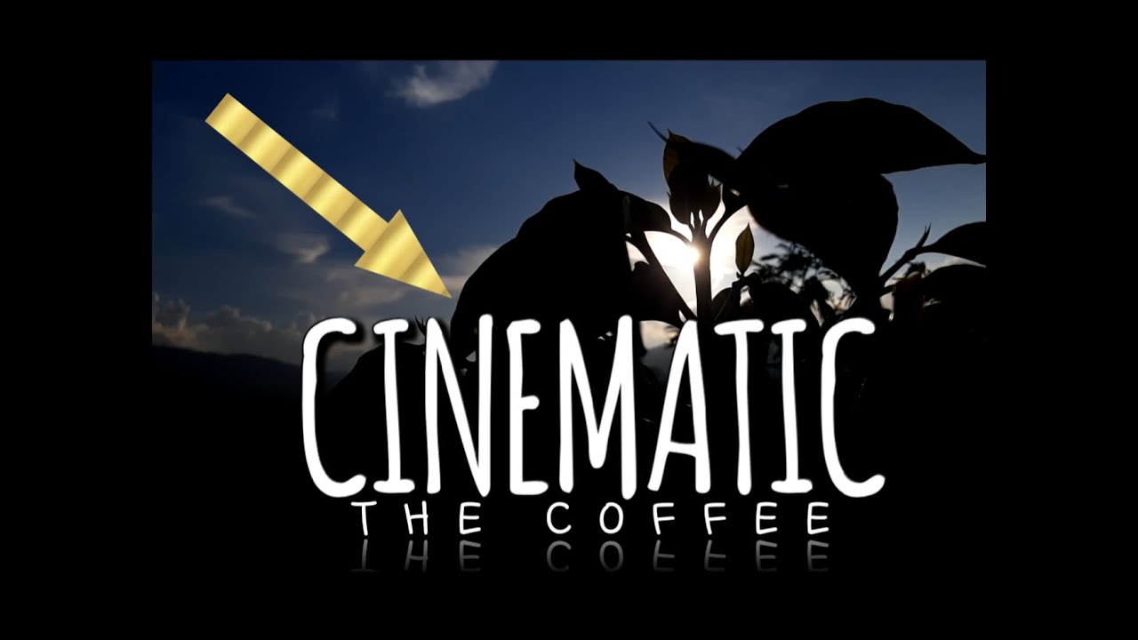 CINEMATIC VIDEO||THE COFFEE