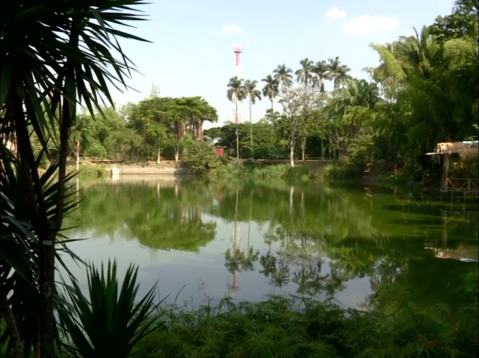 ASÍ QUEDÓ EL BOSQUE MUNICIPAL DE PALMIRA