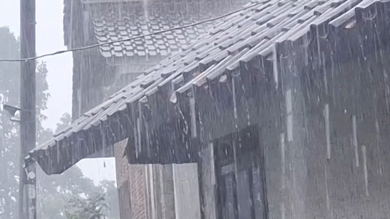 Сильный дождь, от которого наконец-то успокаивается разум 🌧️ Звуки сильного дождя для сна