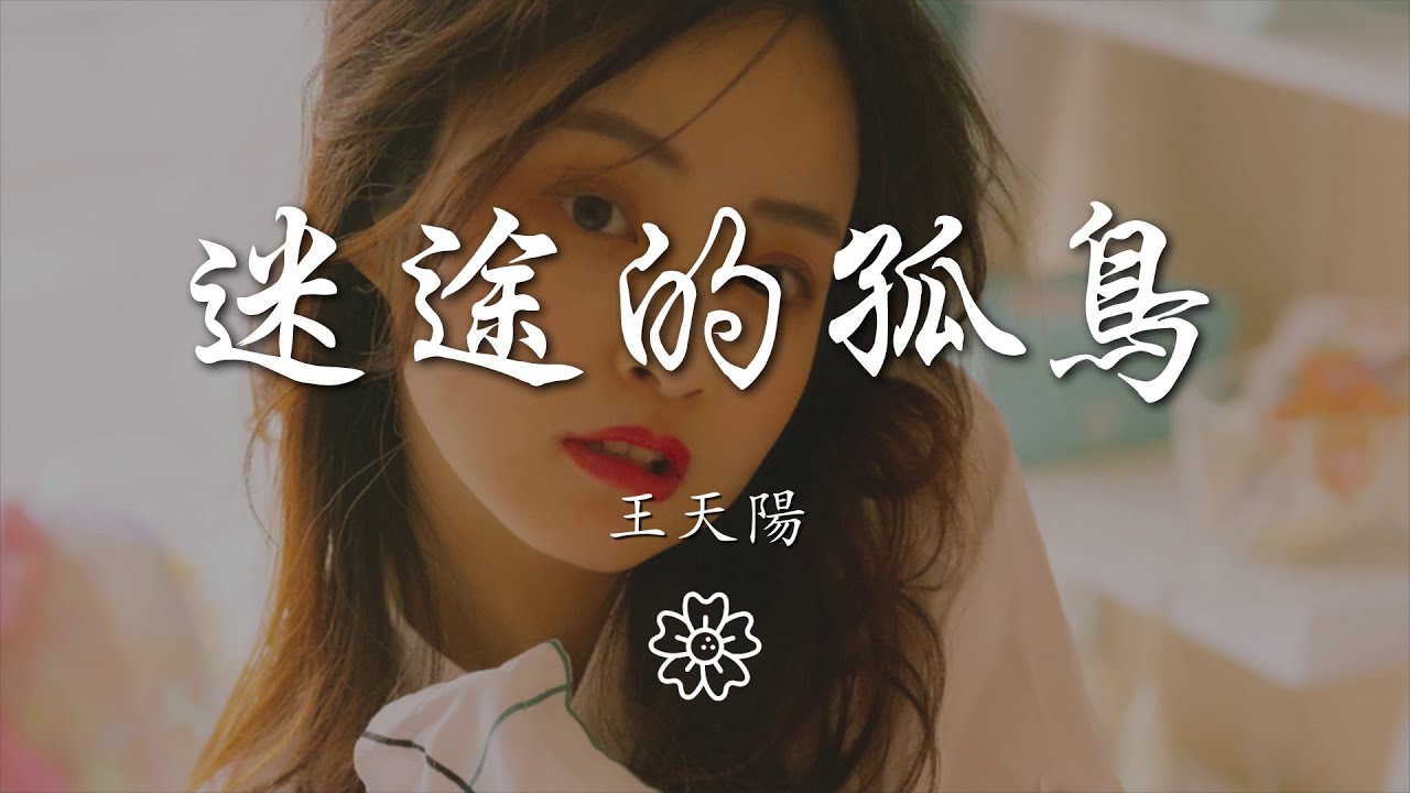 王天陽 - 迷途的孤鳥『暖陽掠過了你的微笑』【動態歌詞Lyrics】