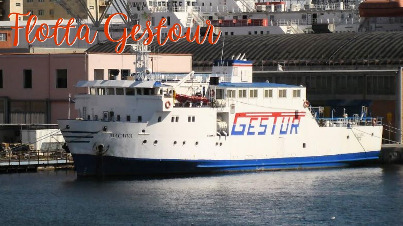 LA FLOTTA GESTOUR!!! (2023)