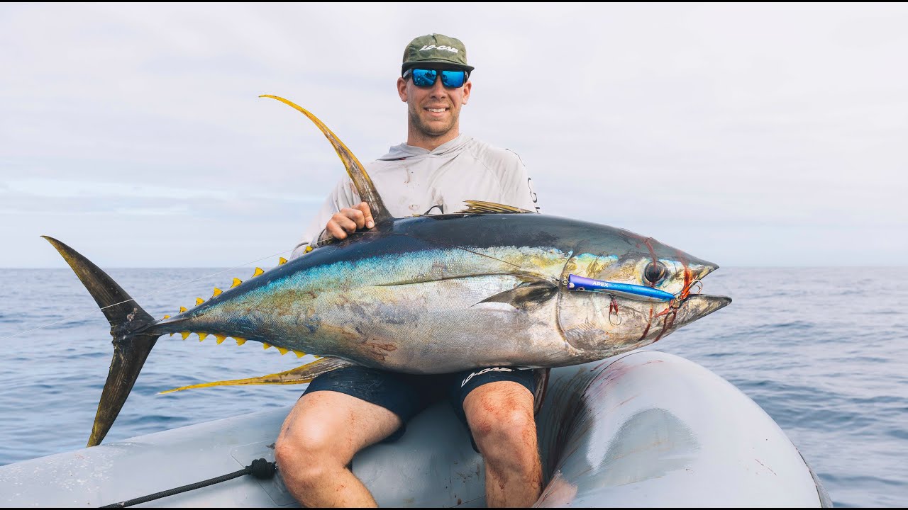 New Zealand Topwater Yellowfin Tuna From an Inflatable