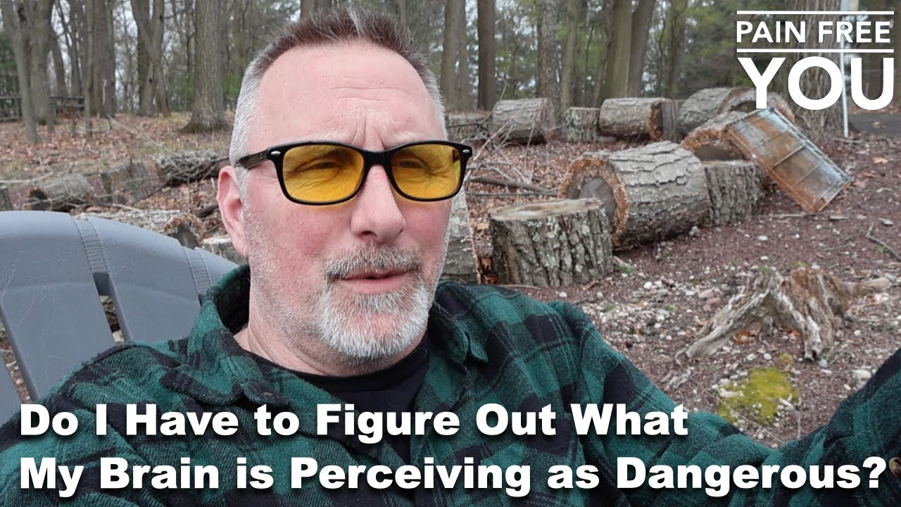 Do I Have to Figure Out What My Brain Is Perceiving As Dangerous?