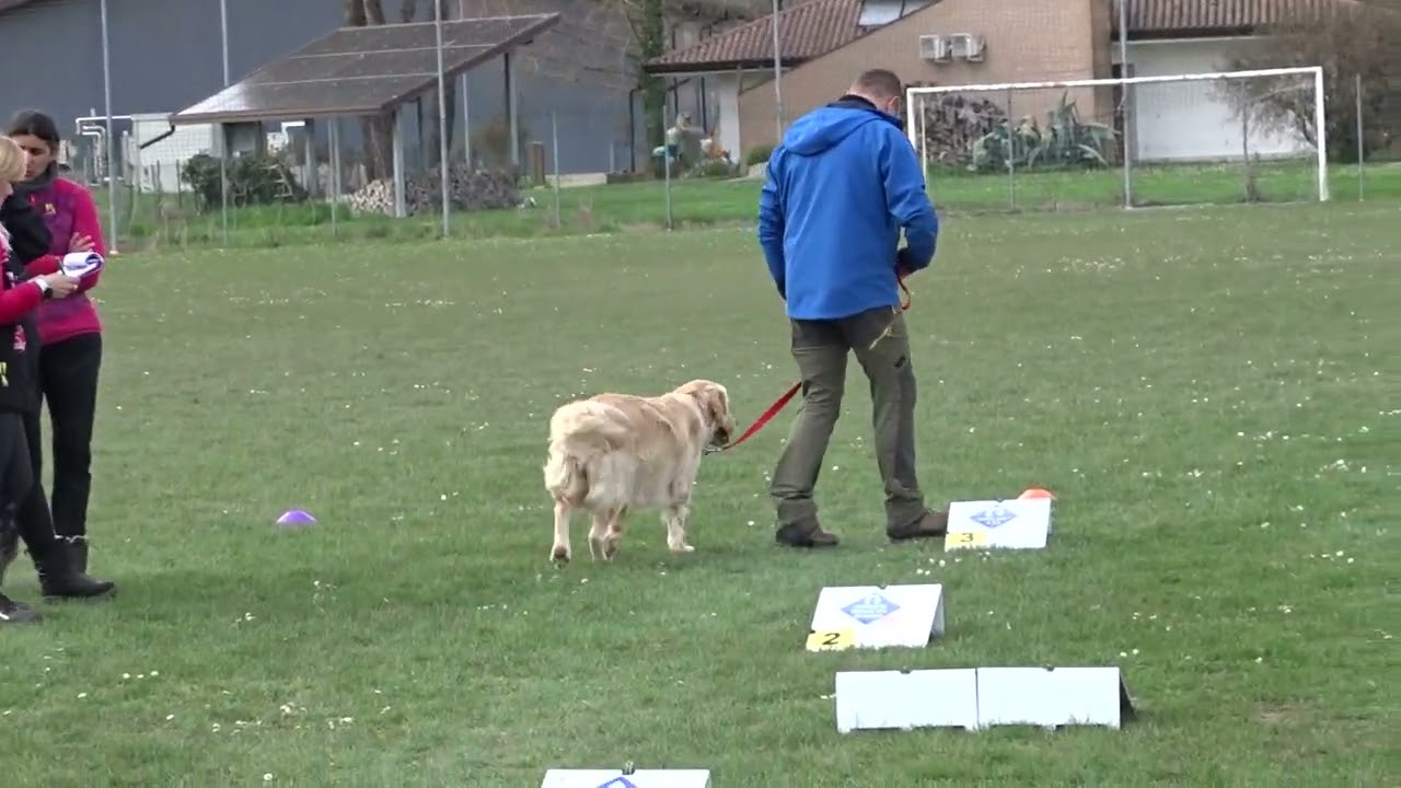 Dora & Massimo   GE   gara Rally Obedience CSEN   15 03 2026   Gorgo di Latisana UD