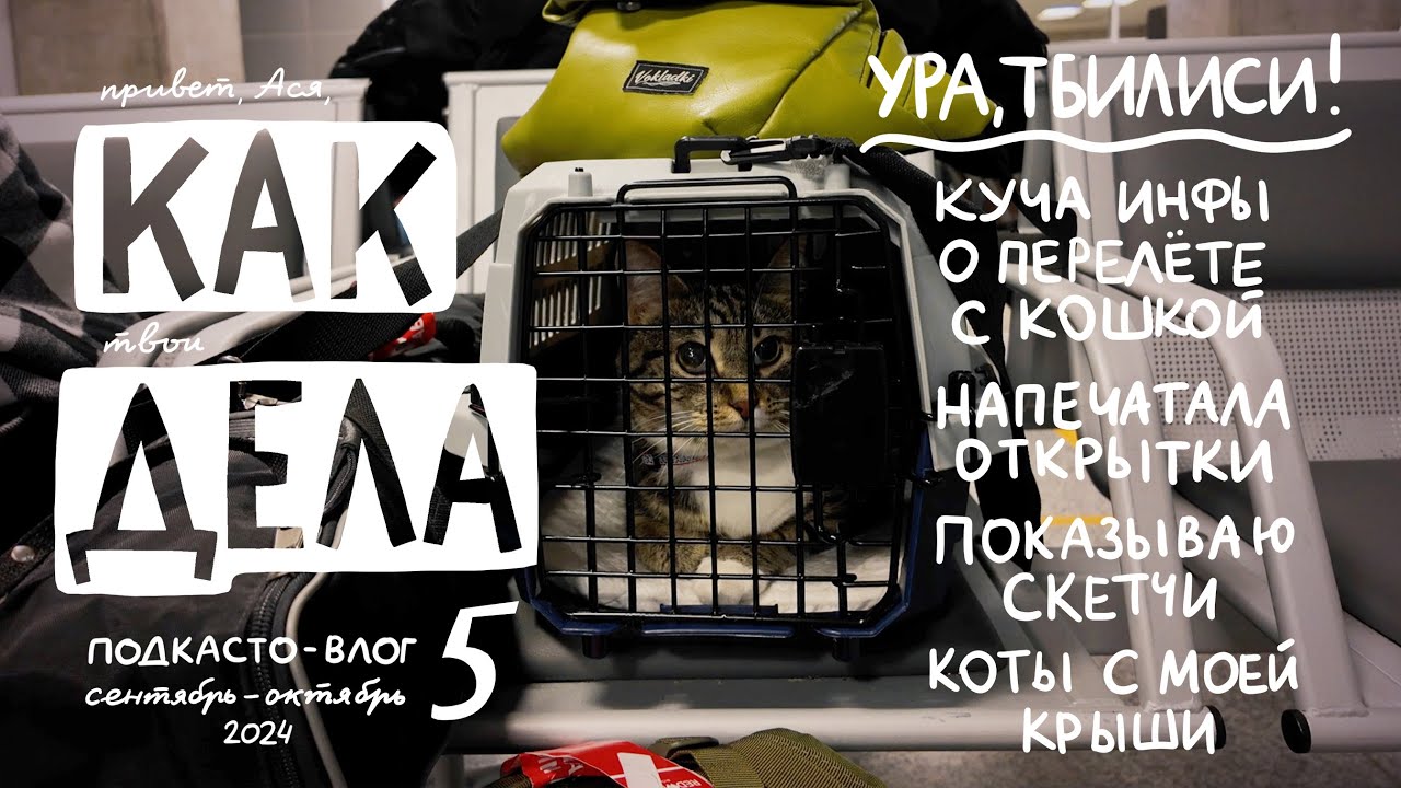 Вернулись в Тбилиси с кошкой! Гуляю, чуть-чуть работаю, вижусь с подружками и грузинскими котами