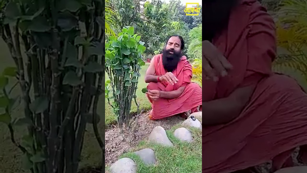 The ultimate medicine for piles || Swami Ramdev