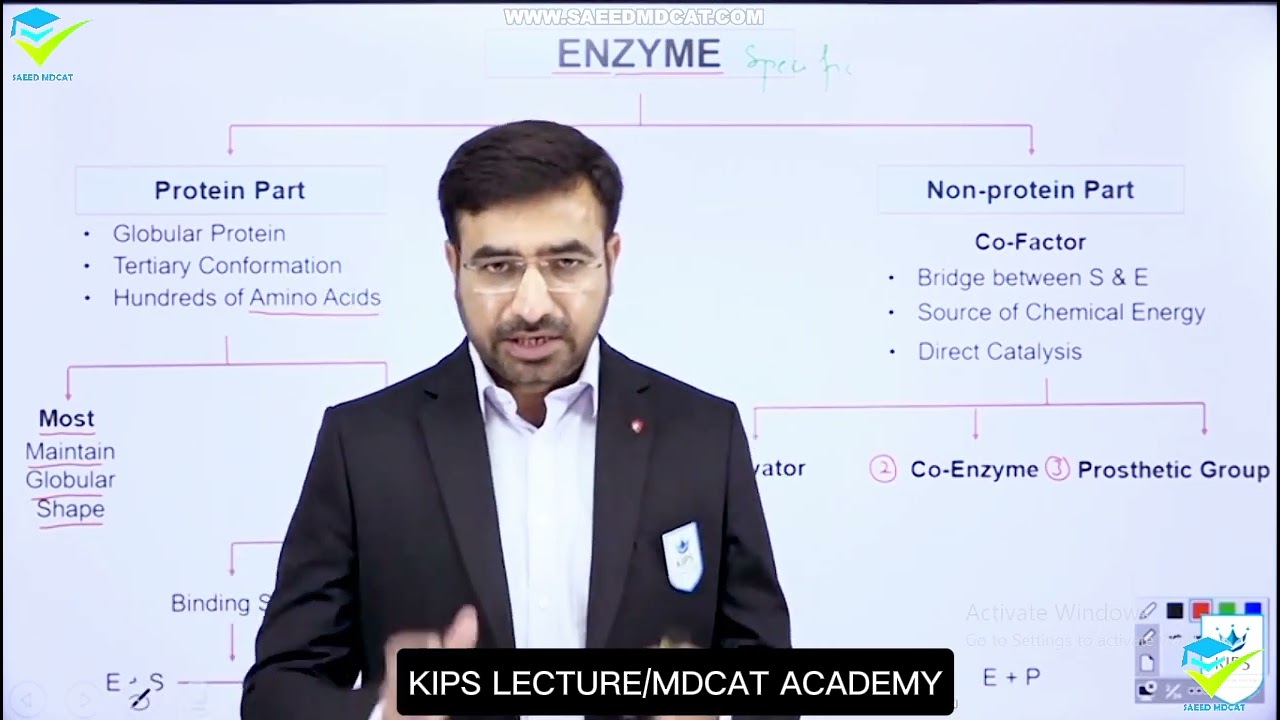 Enzymes | Enzymes in 1 shot | Kips Lecture