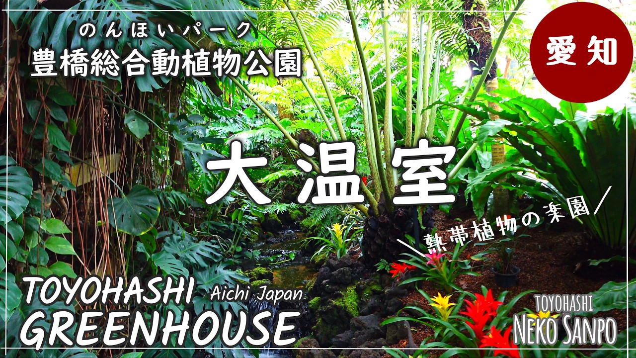 【AICHI JAPAN】ТЕПЛИЦА ～Зоопарк и ботанический парк Тойохаси : ПАРК НОНХОЙ～