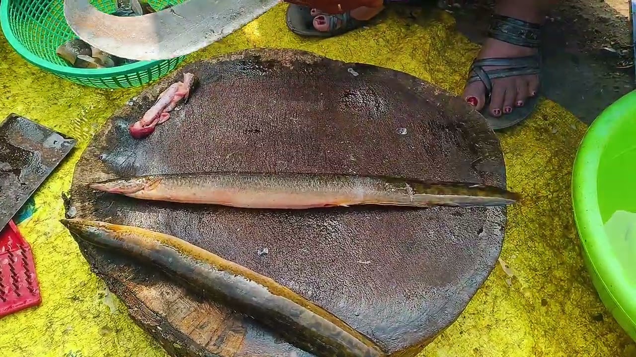 Bam fish cutting #vairalvideo 