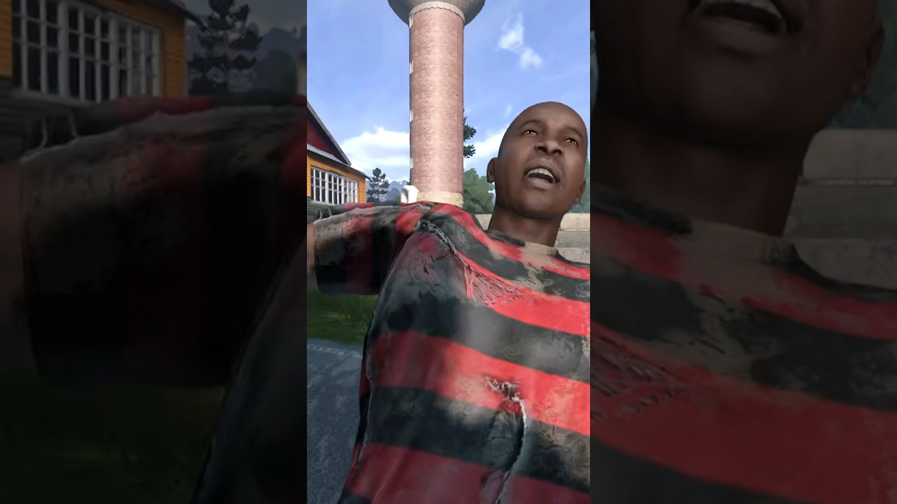 DayZ has the strangest people..  #dayz