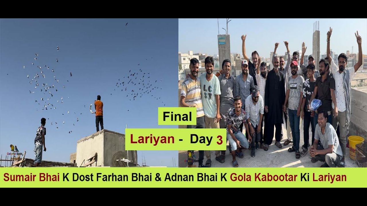Sumair Bhai K Dost Farhan Bhai & Adnan Bhai K Gola Kabootar Ki Lariyan - Day 3