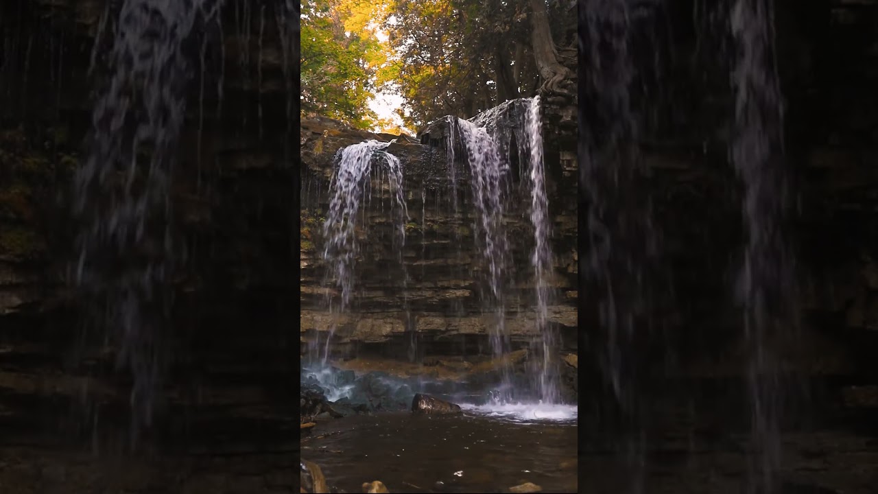 #SONS para RELAXAR#ASMR#ASMRnatureza#SONS PARA DORMIR #SONS DANATUREZA