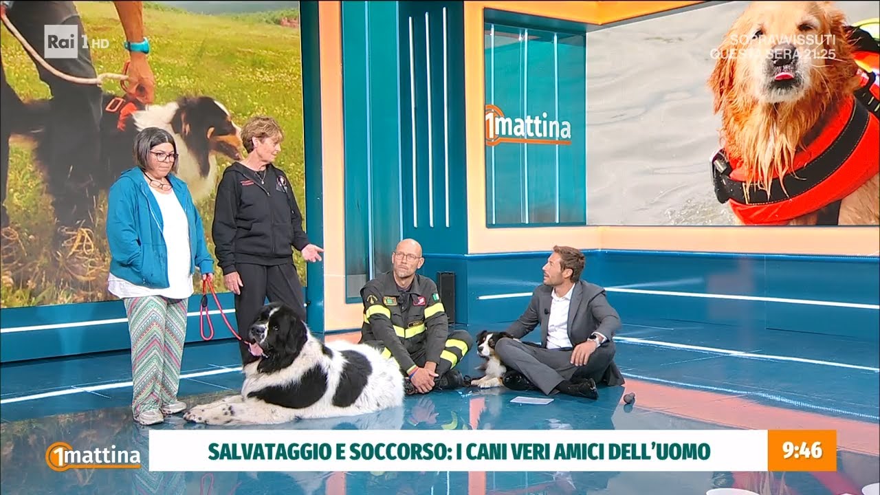 Soccorso a quattro zampe - Unomattina - 24/10/2022