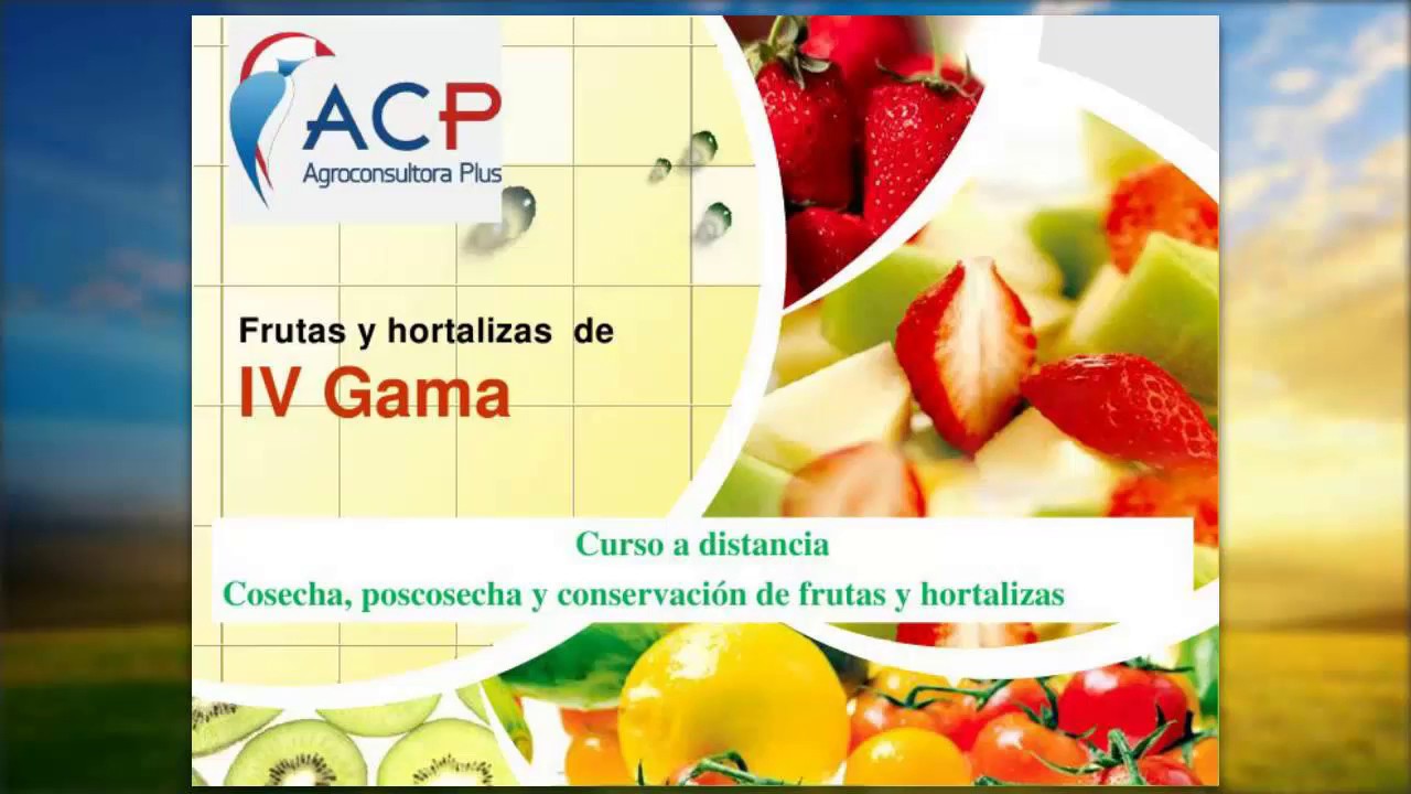 Frutas y Hortalizas de IV Gama