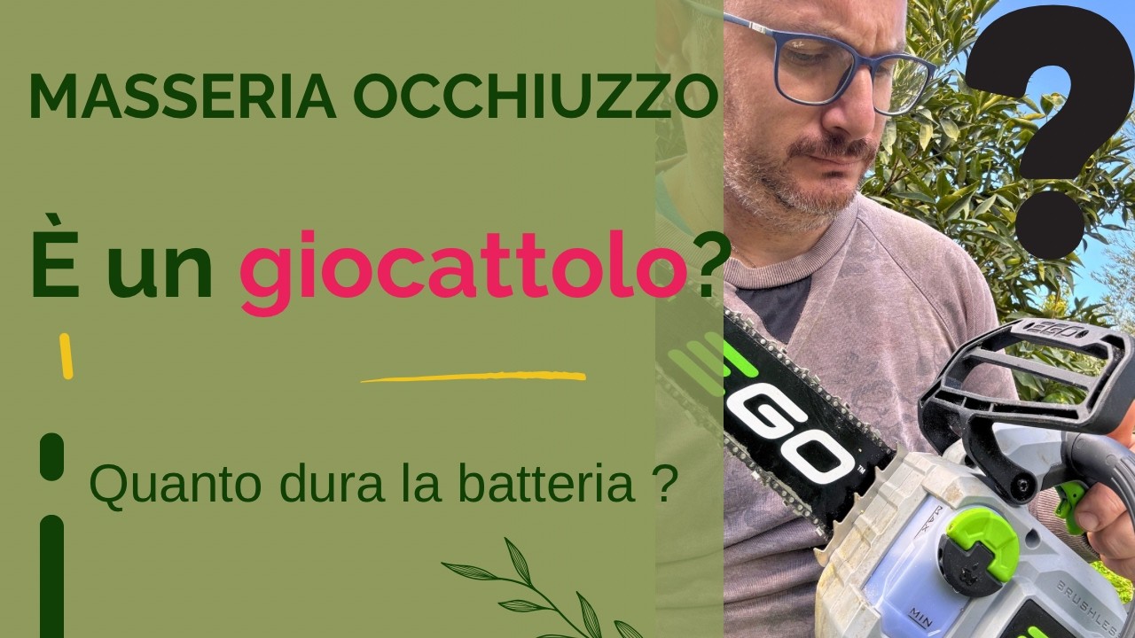 HO SMESSO DI USARE LA BENZINA! ⛽️ Il test che cambia TUTTO. (Verità sulla EGO CS1200E)