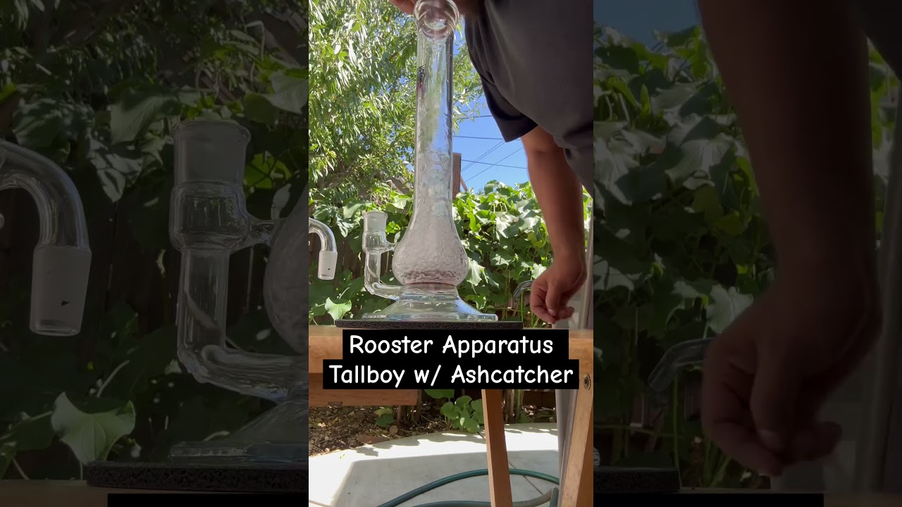 Rooster Apparatus w/ Ash Catcher Function #roosterapparatus #19mm #function #420 #CA #mmj #yee #loud