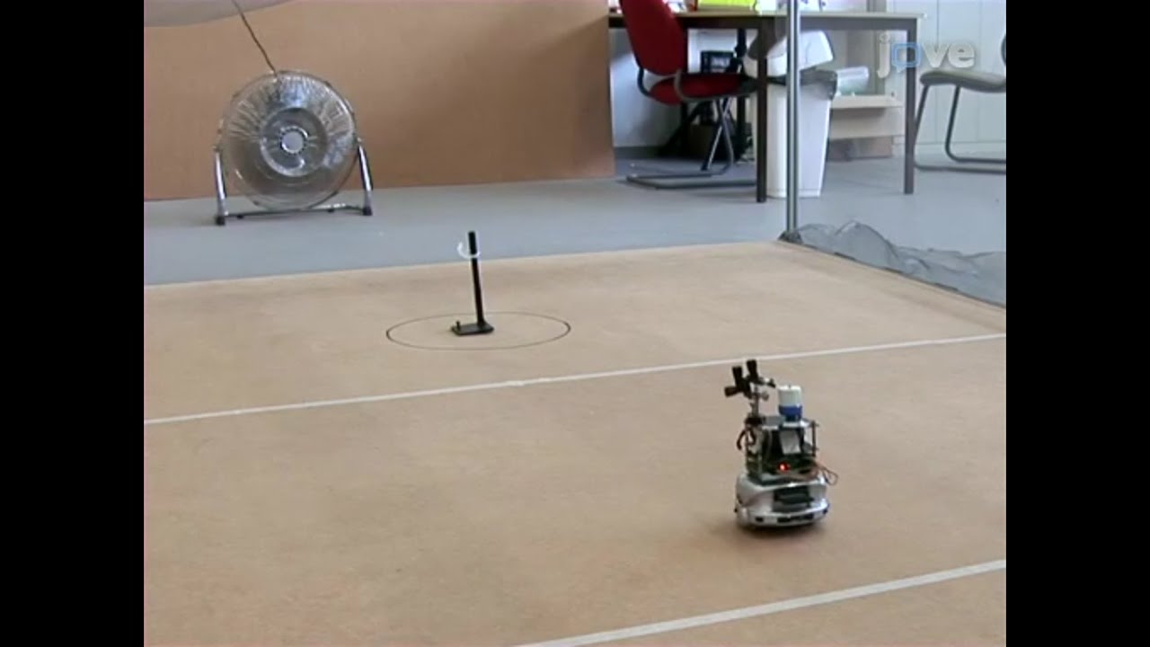 Using Insect Electroantennogram Sensors on Autonomous Robots for Olfactory Searches