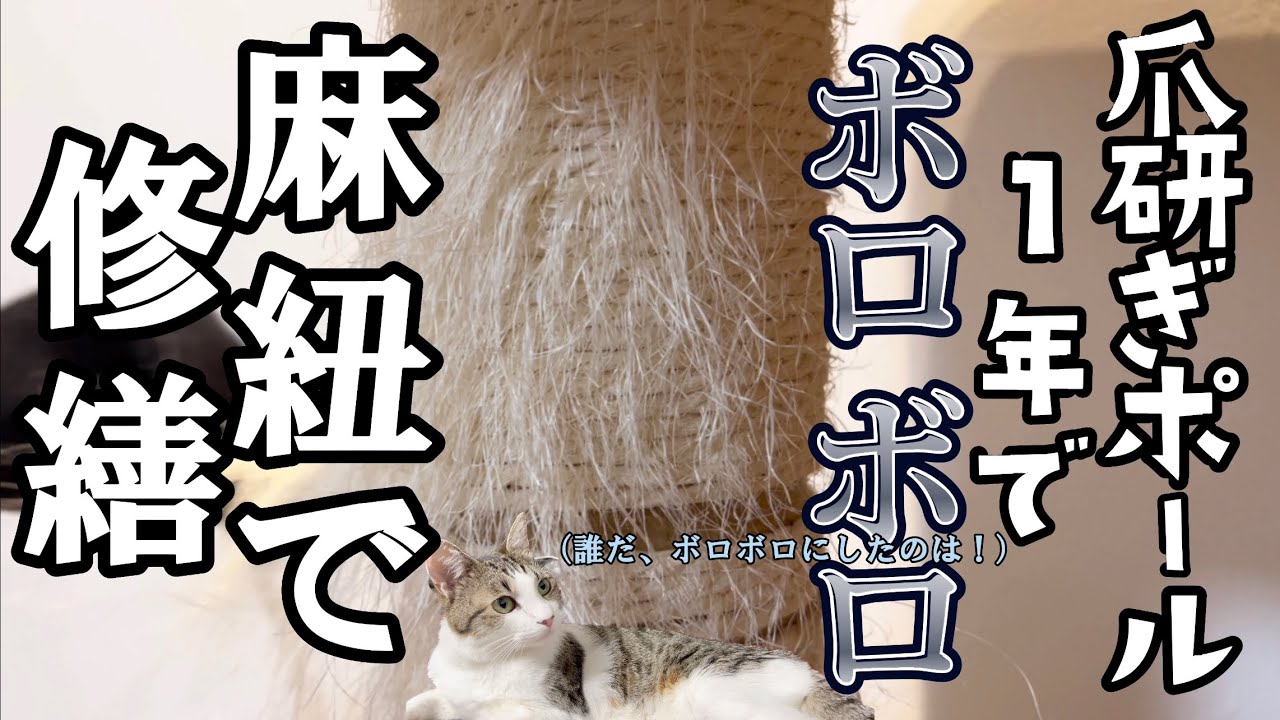 キャットタワーの爪研ぎポールがボロボロなので麻紐を交換‼︎新品同然⁉︎